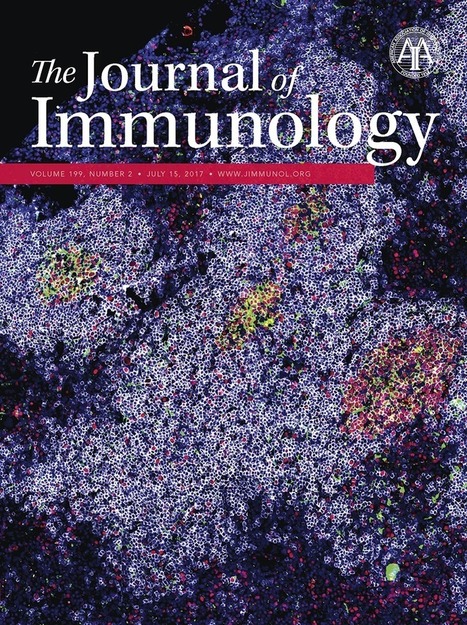 IL-17 Receptor A Maintains and Protects the Skin Barrier To Prevent Allergic Skin Inflammation | Allergy (and clinical immunology) | Scoop.it