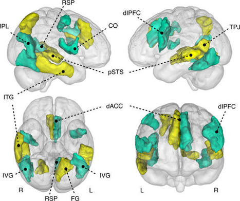 Social Isolation and the Brain in the Pandemic Era | dis.infected | Scoop.it