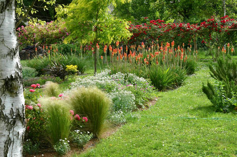 Visite d’un jardin pour la restauration de la biodiversité du Sud-Essonne Jardins de Bressault Étampes vendredi 2 juin 2023 | Les Colocs du jardin | Scoop.it