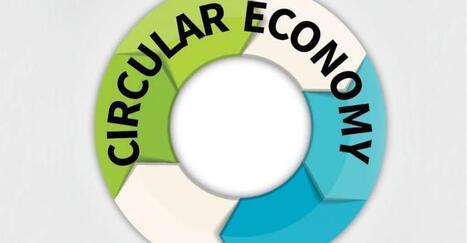 SC Johnson, Ellen MacArthur Partner to Advance a Circular Economy | TheCircularEconomy.com | Scoop.it