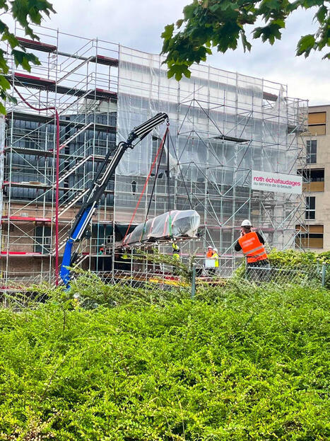 La c&eacute;l&egrave;bre baleine du Mus&eacute;e d'histoire naturelle de Fribourg a d&eacute;m&eacute;nag&eacute; ce mardi matin | Revue de presse C&eacute;tac&eacute;s | Scoop.it
