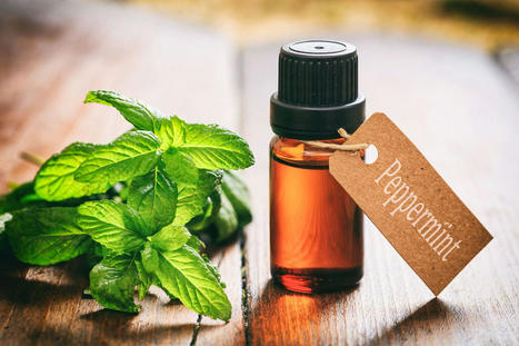 Unlock the Power of Peppermint: Natural Relief for Digestive Issues | Call: 915-850-0900 or 915-412-6677 | Healthy Foods | Scoop.it