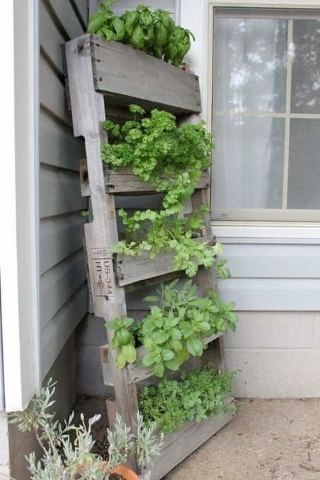 Pallet as a vertical garden | 1001 Gardens | 1001 Gardens ideas ! | Scoop.it