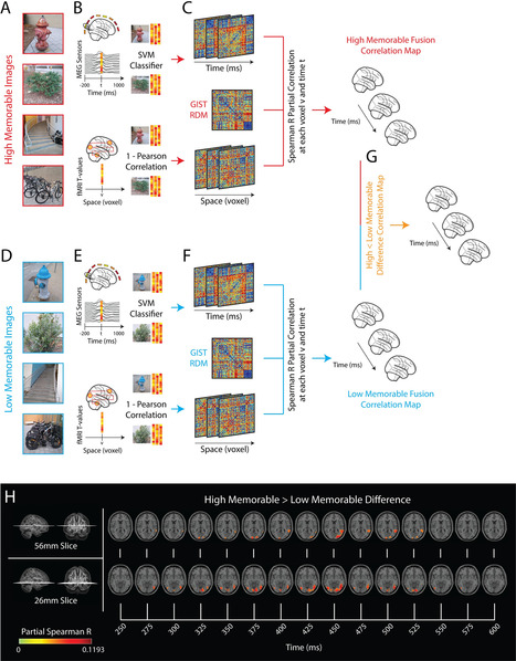MIT Researchers Map Brain Pathways of Visual Images Being Recognized | Technology Innovations | Scoop.it