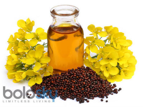 Guys, It's Time To Cook With Mustard Oil | HealthNFitness | Scoop.it