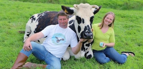 Normandie : Un camembert fermier "bio" au lait de vaches normandes nourries à l'herbe ! | Lait de Normandie... et d'ailleurs | Scoop.it