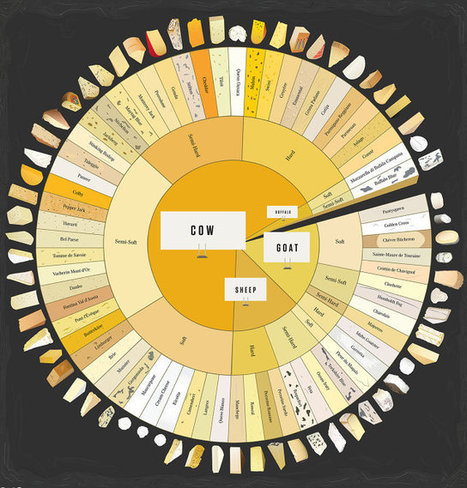 The 21 Best Infographics Of 2013 | Business Improvement and Social media | Scoop.it