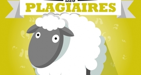 Plagiat : une campagne pas si b&ecirc;te &agrave; l'Universit&eacute; de Lyon | EntomoScience | Scoop.it