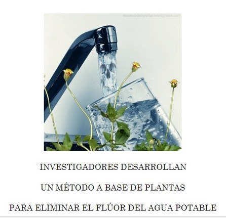 INVESTIGADORES DESARROLLAN UN MÉTODO A BASE DE PLANTAS PARA ELIMINAR EL FLÚOR DEL AGUA POTABLE | PIENSA en VERDE | Scoop.it