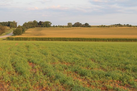 La PAC peut prot&eacute;ger la biodiversit&eacute; et g&eacute;n&eacute;rer des services &eacute;cosyst&eacute;miques en  diversifiant les paysages agricoles | PAYSAGE ET TERRITOIRES | Scoop.it