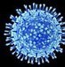 Insane Science: Man-made flu virus with potential to wipe out many millions is created in research lab | Health Supreme | Scoop.it