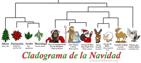 Blog Sin Dioses: Cladograma de la Navidad | Religiones. Una visión crítica | Scoop.it