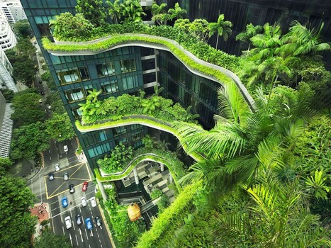 Booking.com reveals key findings from its 2019 sustainable travel report | Tourisme Durable - Slow | Scoop.it