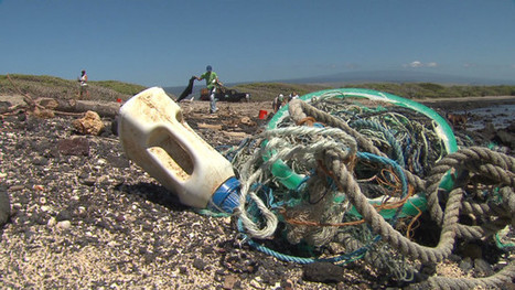 Japanese tsunami debris makes its way into Hawaiian birds -- CNN VIDEO | OUR OCEANS NEED US | Scoop.it