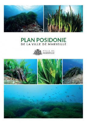 Plan Posidonie de Marseille | Regards crois&eacute;s sur la transition &eacute;cologique | Scoop.it