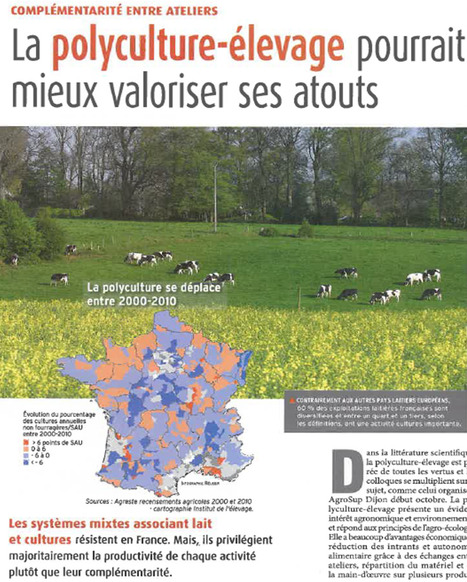 Polyculture élevage : économies d’échelle plutôt qu’économies de gamme | Lait de Normandie... et d'ailleurs | Scoop.it