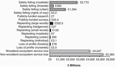 Current Biology: The £15 billion cost of ash dieback in Britain (2019) | Plants and Microbes | Scoop.it