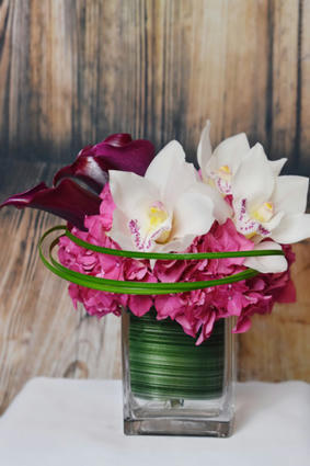 Modern & Pink Hydrangea | Q Florist | Scoop.it