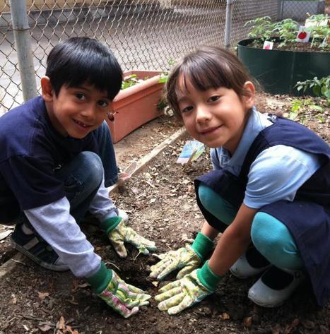 The Education (R)evolution: Empathy, Creativity, & Project-Based Learning | Empathy and Education | Scoop.it