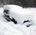 Can humans hibernate? As a driver survives for TWO MONTHS trapped without food at -30c, this theory could transform medicine | Amazing Science | Scoop.it