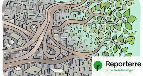 Habitats collectifs, friches à rénover… Ces villes préservent les sols | Reporterre | La SELECTION du Web | CAUE des Vosges - www.caue88.com | Scoop.it