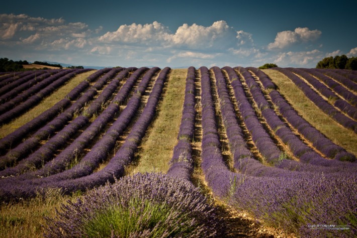 Les plus belles routes de France | Ma douce France | Scoop.it