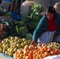 Agriculture familiale pour nourrir la planète : quels outils pour permettre à la production alimentaire ? | Questions de développement ... | Scoop.it