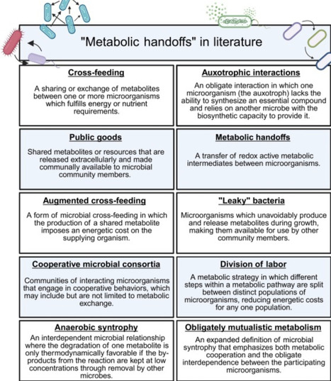 An updated view of metabolic handoffs in microb...