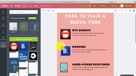 Cómo hacer una infografía con Canva | TIC & Educación | Scoop.it