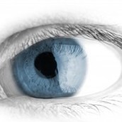 La vision d&rsquo;entreprise, le point de d&eacute;part d&rsquo;une &laquo; Success Story &raquo;. D&eacute;finition, recette et quelques exemples ! - Strat&eacute;gie Marketing PME | Strat&eacute;gie Marketing PME | Management et recrutement, g&eacute;n&eacute;ration-culture Y, prospective sur les nouveaux m&eacute;tiers li&eacute;s &agrave; l'impact de la culture connect&eacute;e | Scoop.it