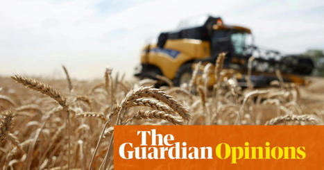 WORLD: Covid crisis is fuelling food price rises for world's poorest | CIHEAM Press Review | Scoop.it