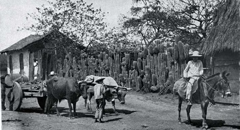 Temas nicaragüenses No. 49 | Autores de Centroamérica | Magacín | Scoop.it
