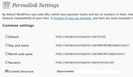 Fine-Tuning WordPress for SEO | SEO & Blogging | Scoop.it