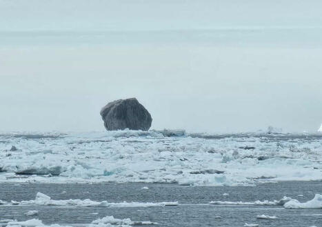 « Jamais vu ça » : un iceberg noir « façonné comme un diamant » déclenche l’incrédulité des internautes | Biodiversité - @ZEHUB on Twitter | Scoop.it