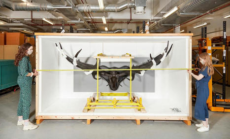 What does moving 28 million specimens actually mean? | Bo&icirc;te &agrave; outils num&eacute;riques | Scoop.it