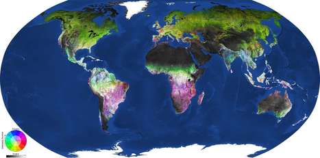 La végétation mondiale vue de l'espace sur une impressionnante carte | Biodiversité | Scoop.it