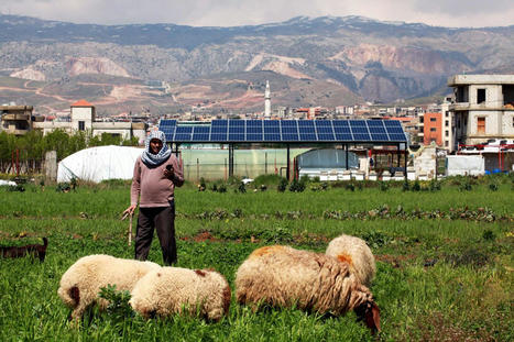 Privé de dollars, le Liban pourrait se tourner vers une agriculture plus naturelle | CIHEAM Press Review | Scoop.it