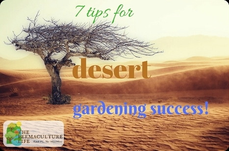 7 tips for desert gardening success! - The Permaculture Life | Think Like a Permaculturist | Scoop.it