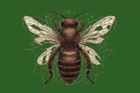 Mythe ou réalité de l’apocalypse des insectes à Cinémajoie | Variétés entomologiques | Scoop.it