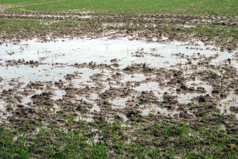 [France 3 Occitanie] "Retenir l'eau quand il pleut et la restituer pendant la sécheresse", un projet lutte contre les conséquences du réchauffement climatique | Les laboratoires du CNRS Occitanie Ouest dans la presse | Scoop.it
