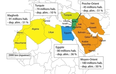 INRA - Pluriagri - Afrique du Nord Moyen-Orient 2050 D&eacute;pendance alimentaire | MED-Amin network | Scoop.it