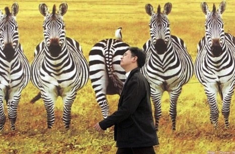 Tout sur la Chine: WIKILEAKS - La Chine en Afrique : une menace et des mésaventures - Jean-Philippe Rémy | Chine | Scoop.it