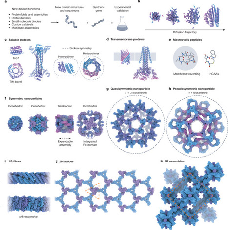 The past, present and future of de novo protein...