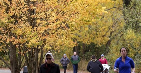 Why Cities Are Piloting Carbon Credits for Urban Trees | Timberland Investment | Scoop.it