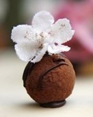 Confectionery from Vienna - VIENNA &ndash; NOW OR NEVER | Candy Buffet Weddings, Favors, Events, Food Station Buffets and Tea Parties | Scoop.it