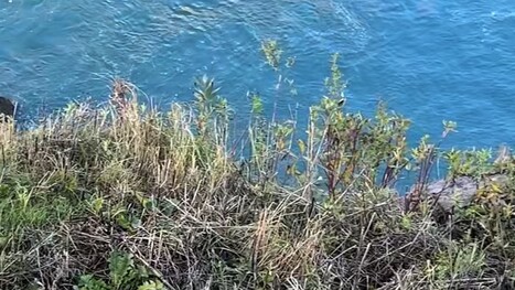 Frustrated hiker shares video of disturbing trend in nature areas: 'Please, let's stop' | Industry 411 - Waste Management | Scoop.it