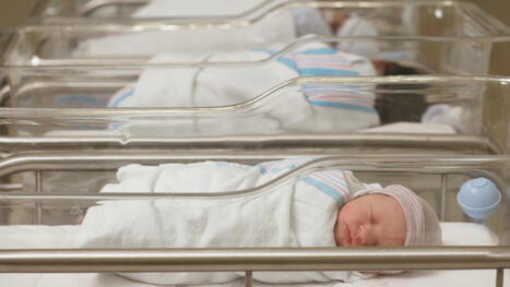 Birth rate plunges to lowest in 50 years as Millennials shun families amid financial fears & relationship difficulties | Centre for Population Change Connecting Generations in the news | Scoop.it