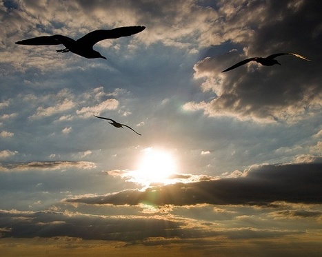 8 Things You Forgot to Be Grateful For | CALM | Scoop.it