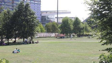 Lille : bient&ocirc;t quatre ruches et des milliers d&rsquo;abeilles au parc Matisse | Nature en ville | Scoop.it