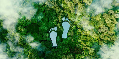 TTC launches carbon fund to reach net zero | PhocusWire | (Macro)Tendances Tourisme & Travel | Scoop.it